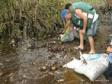 O Instituto Ambiental do Paraná (IAP), com o apoio da Polícia Ambiental, está fiscalizando e orientando pescadores e catadores de caranguejos durante período da corrida dos crustáceos, de 1 de dezembro a 14 de março, no litoral do Estado