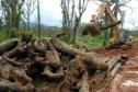 Insituto das Águas coordena retirada de árvores do bairro Floresta, em Paranaguá.Paranaguá, 11-01-2012.Foto: Arnaldo Alves / AENotícias 