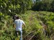 Uma ação do Instituto Ambiental do Paraná (IAP) e da Polícia Ambiental (BPAmb) encontrou 23 hectares de vegetação nativa desmatada em Antonina e Guaraqueçaba, no Litoral. Foto:Fábio Nunes/IAP