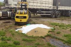 PM recupera 35 toneladas de cevada e insumos agrícolas desviados em Paranaguá