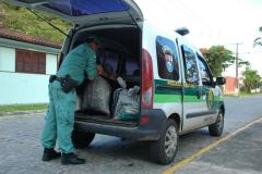 Polícia Ambiental apreende 253 caranguejos capturados ilegalmente